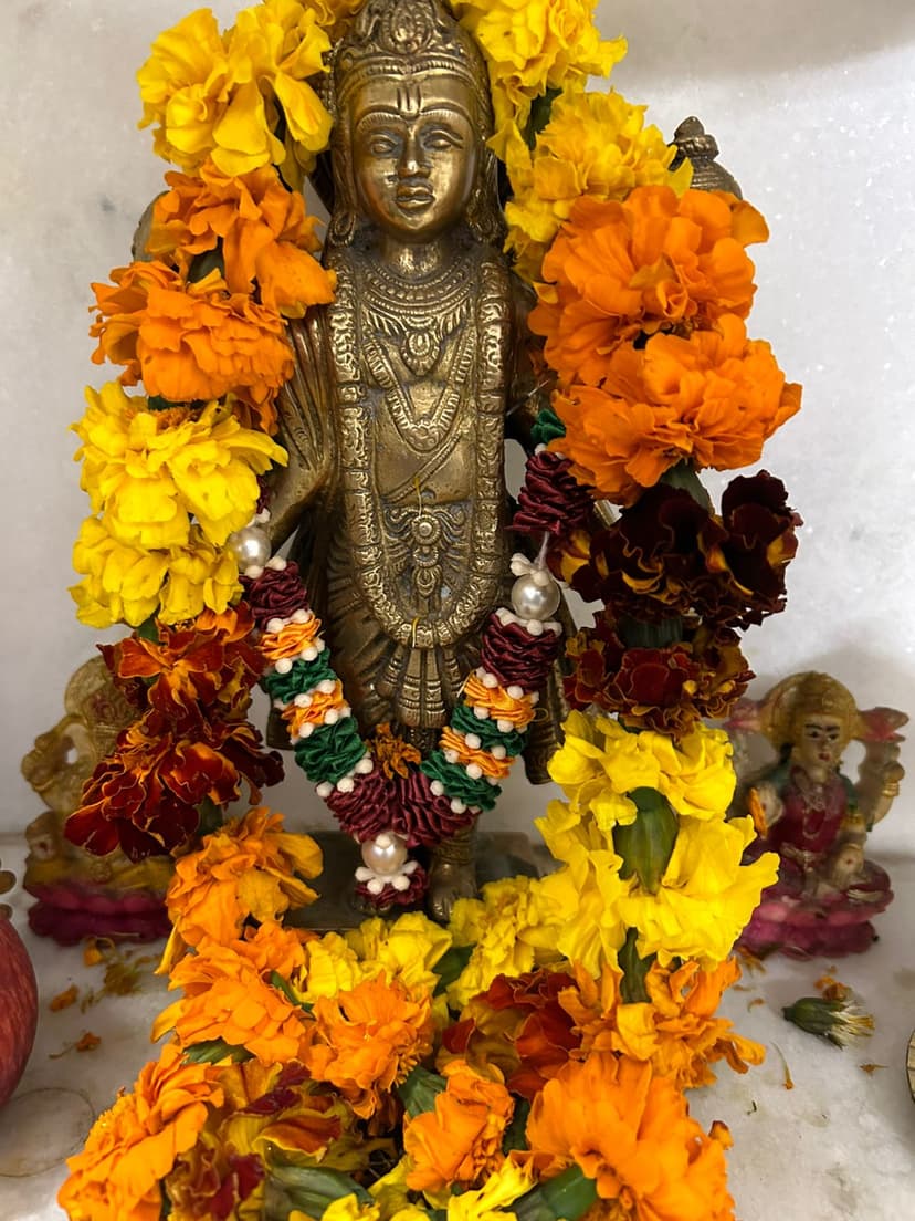 हिमालय संजीवनी आयुर्वेद